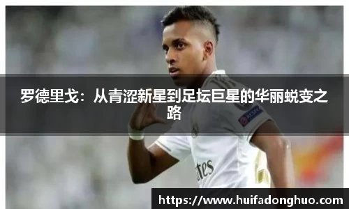 鑫彩网