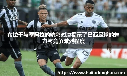 鑫彩网