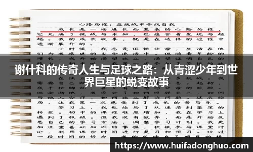 鑫彩网官网