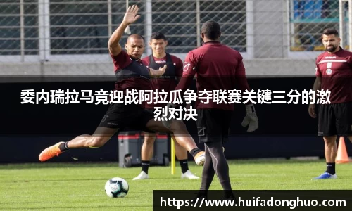 鑫彩网官网