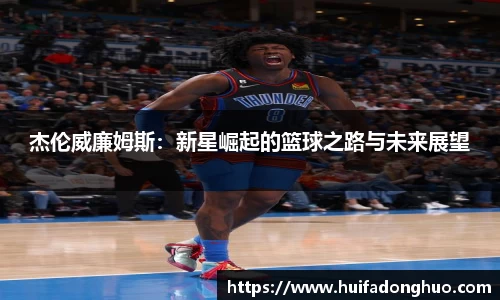 鑫彩网