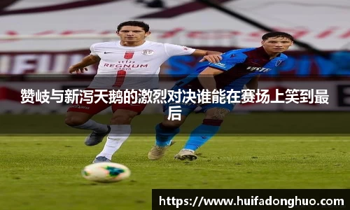 鑫彩网官网入口